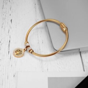 Thick Crystal Studded Bangle Shaped Bracelet / Anklet