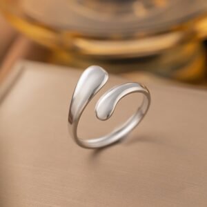 Stainless Steel Silver Stream Ring